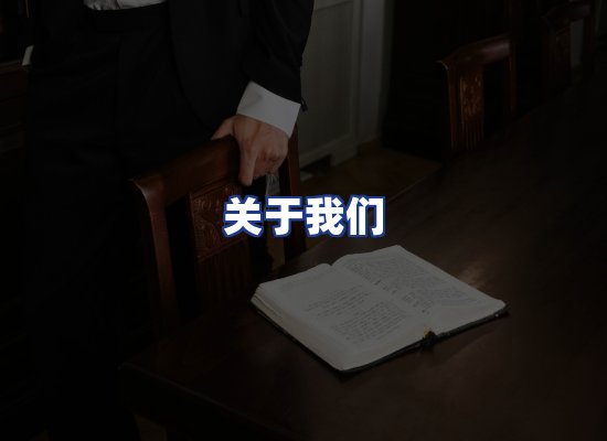 专业团队